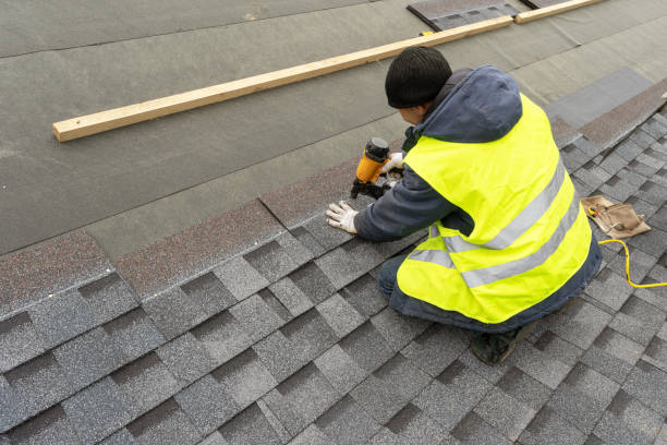 Best Metal Roofing Installation  in Howard Lake, MN
