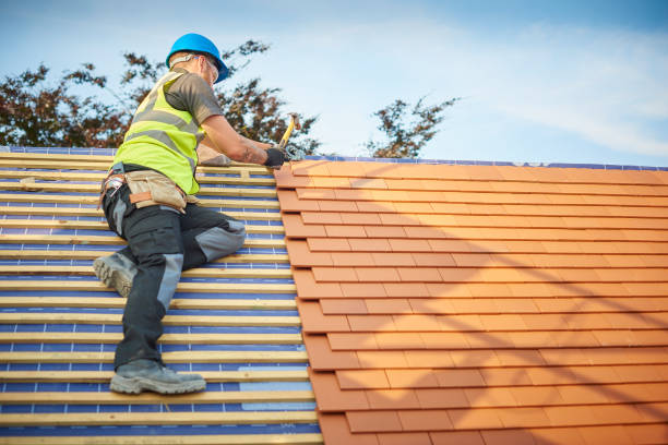 Best Steel Roofing  in Howard Lake, MN